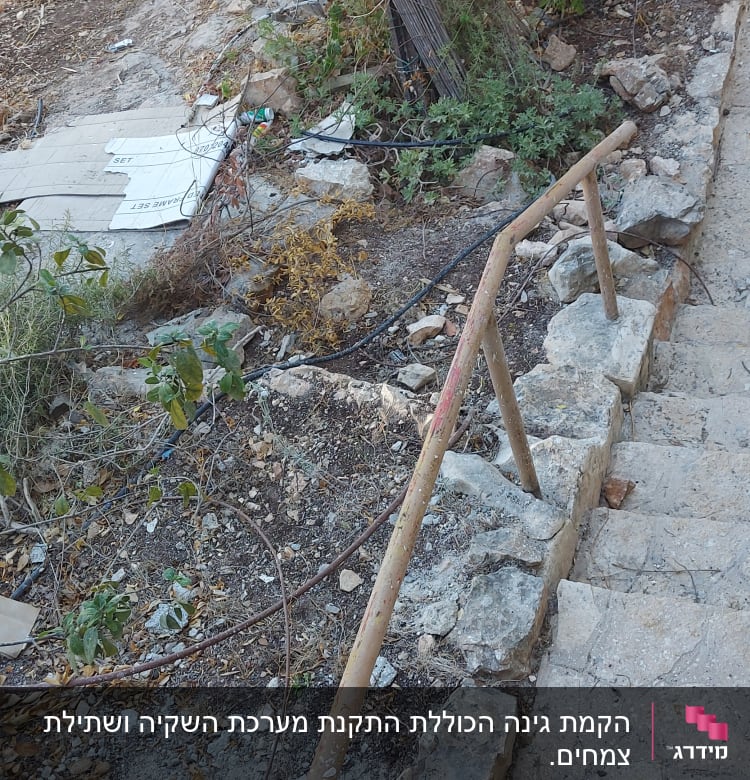 אדמה עם צינור השקיה וצמחייה יבשה